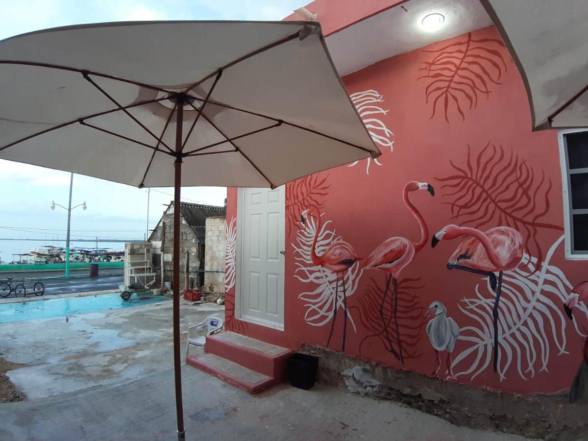 Habitaciones Chiquil Ha Rio Lagartos Luaran gambar